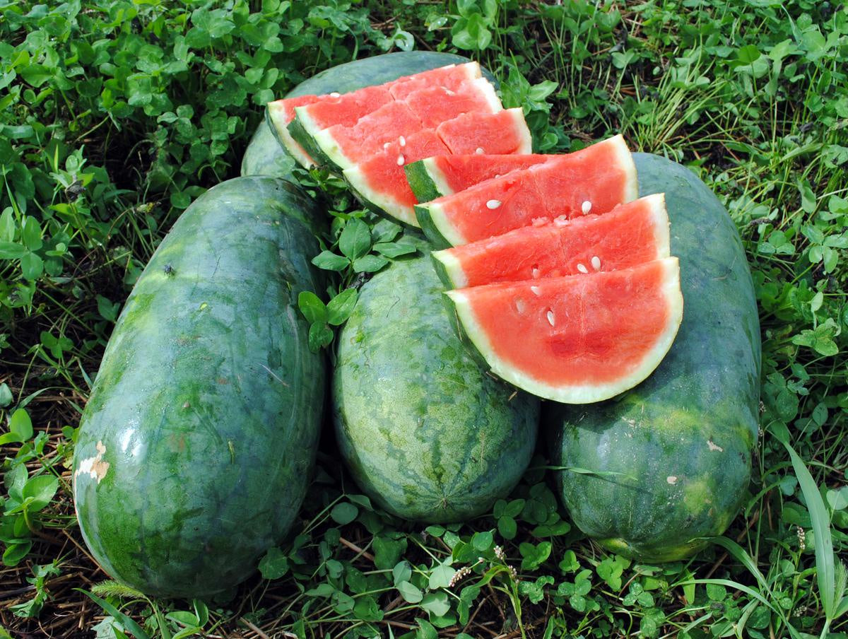 Watermelon 'Strawberry' Southern Exposure Seed Exchange - Organic