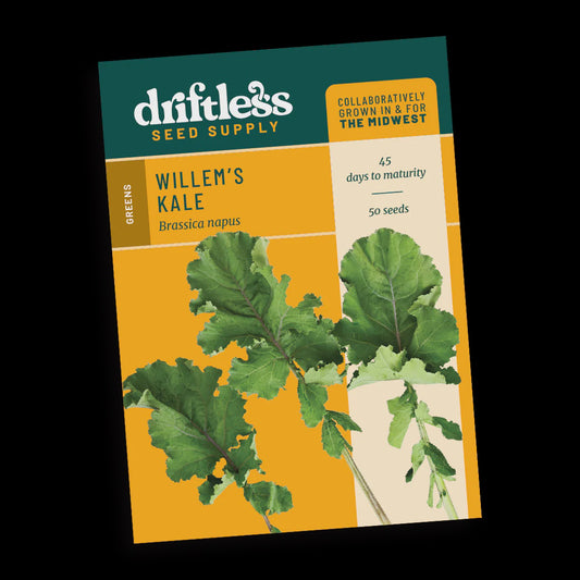 Kale 'Willem's Broadleaf' - Driftless Seed Supply