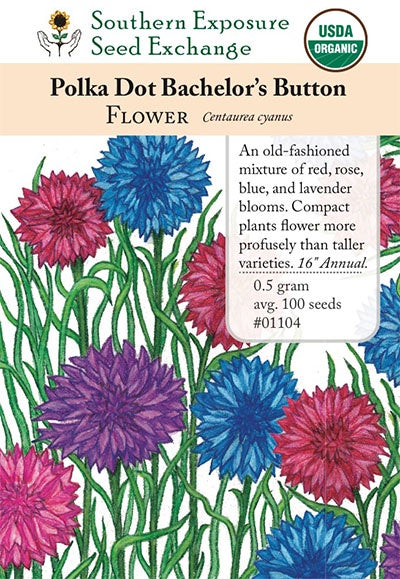 Bachelor Button 'Polka Dot' - Southern Exposure Seed Exchange - Organic