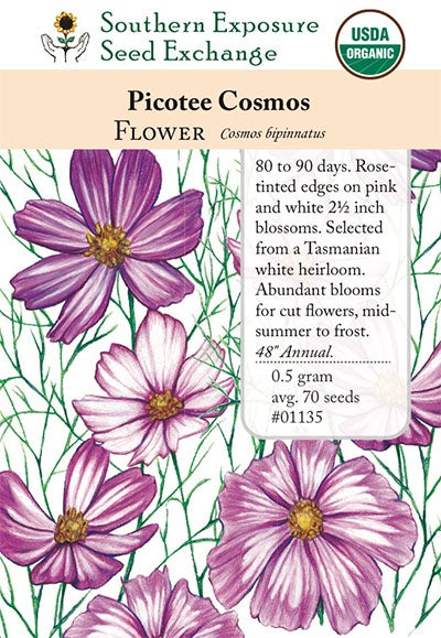 Cosmos 'Picotee' - Southern Exposure Seed Exchange - Organic – Mother ...