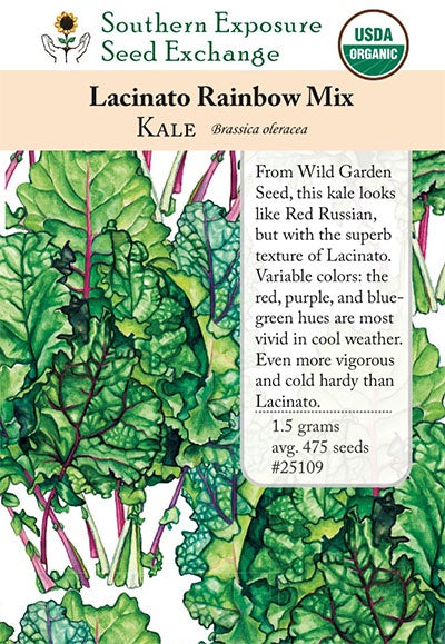 Kale 'Lacinato Rainbow Mix' - Southern Exposure Seed Exchange - Organic