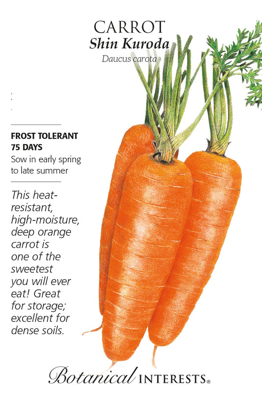 Carrot 'Shin Kuroda' - Botanical Interests®