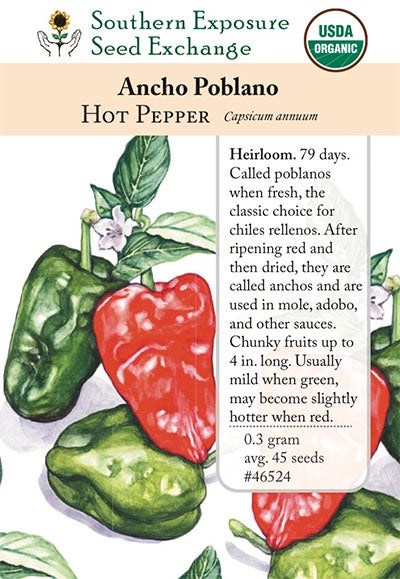 Pepper (Hot) 'Ancho Poblano' -  Southern Exposure Seed Exchange - Organic