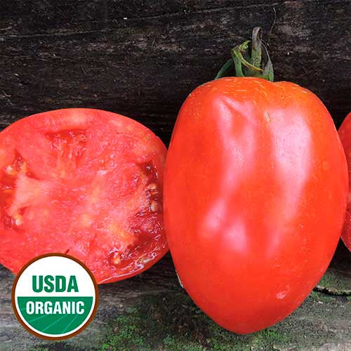 Tomato 'Salvaterra's Select' - Seed Savers Exchange - Organic