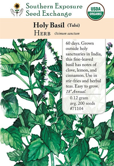 Basil (Holy) 'Tulsi' - Southern Exposure Seed Exchange - Organic