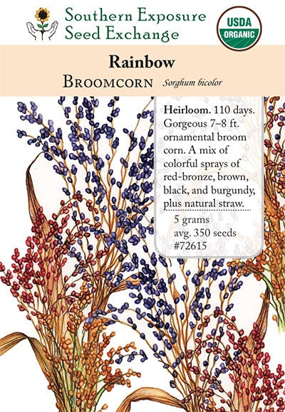 Broomcorn 'Rainbow' - Southern Exposure Seed Exchange - Organic