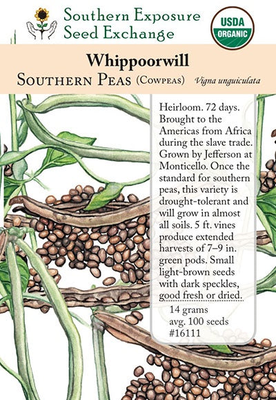 Cowpea 'Whippoorwill' -Southern Exposure Seed Exchange - Organic