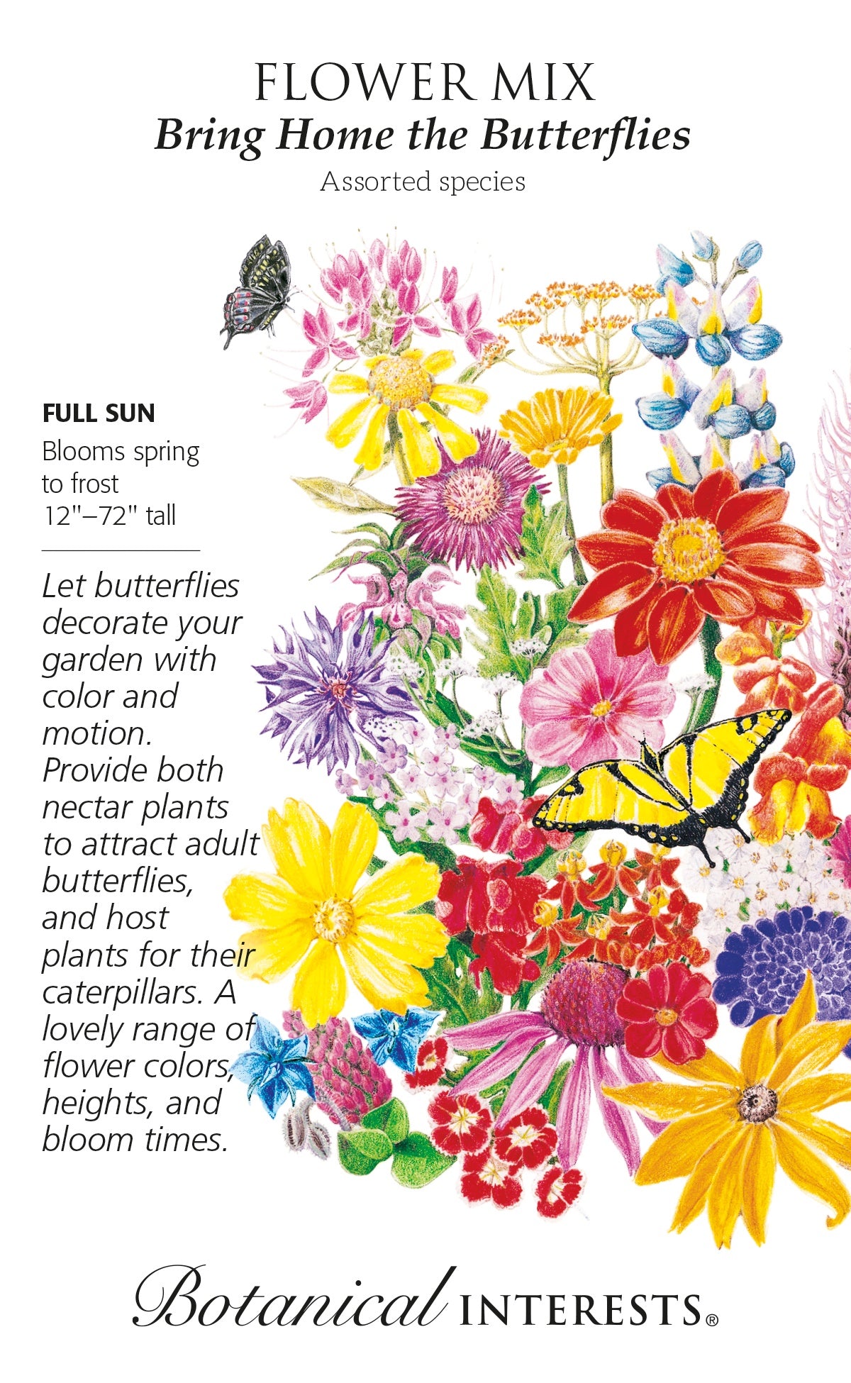 Flower Mix 'Bring Home the Butterflies' - Botanical Interests® - Large Packet