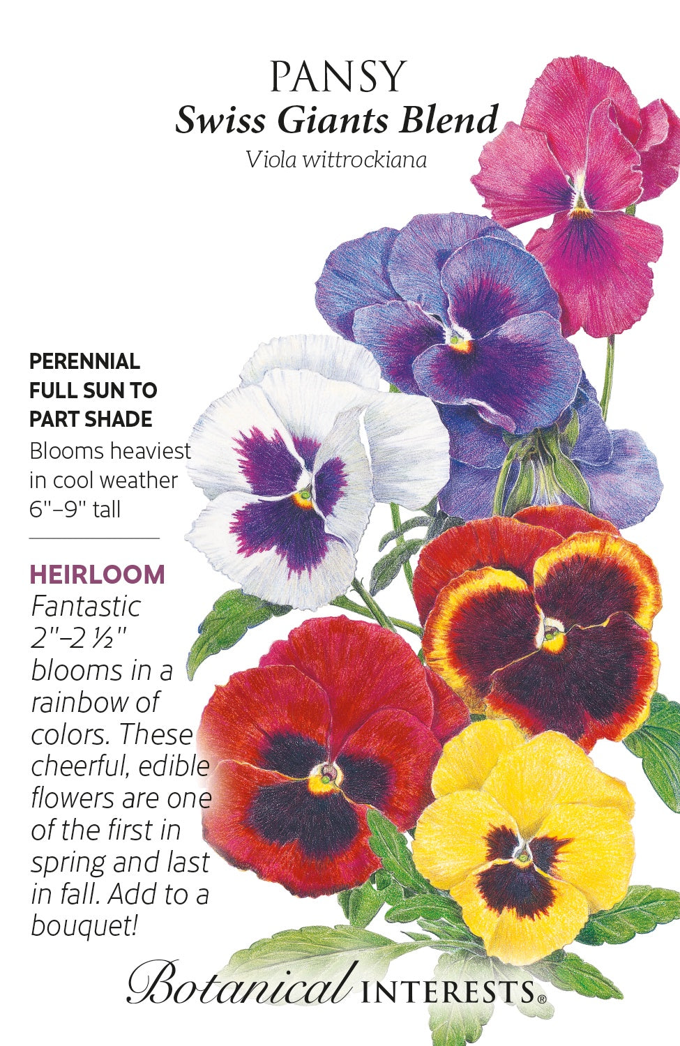 Pansy 'Swiss Giants Blend' - Botanical Interests®