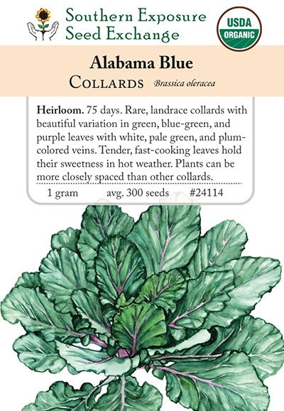 Collards 'Alabama Blue' - Southern Exposure Seed Exchange - Organic