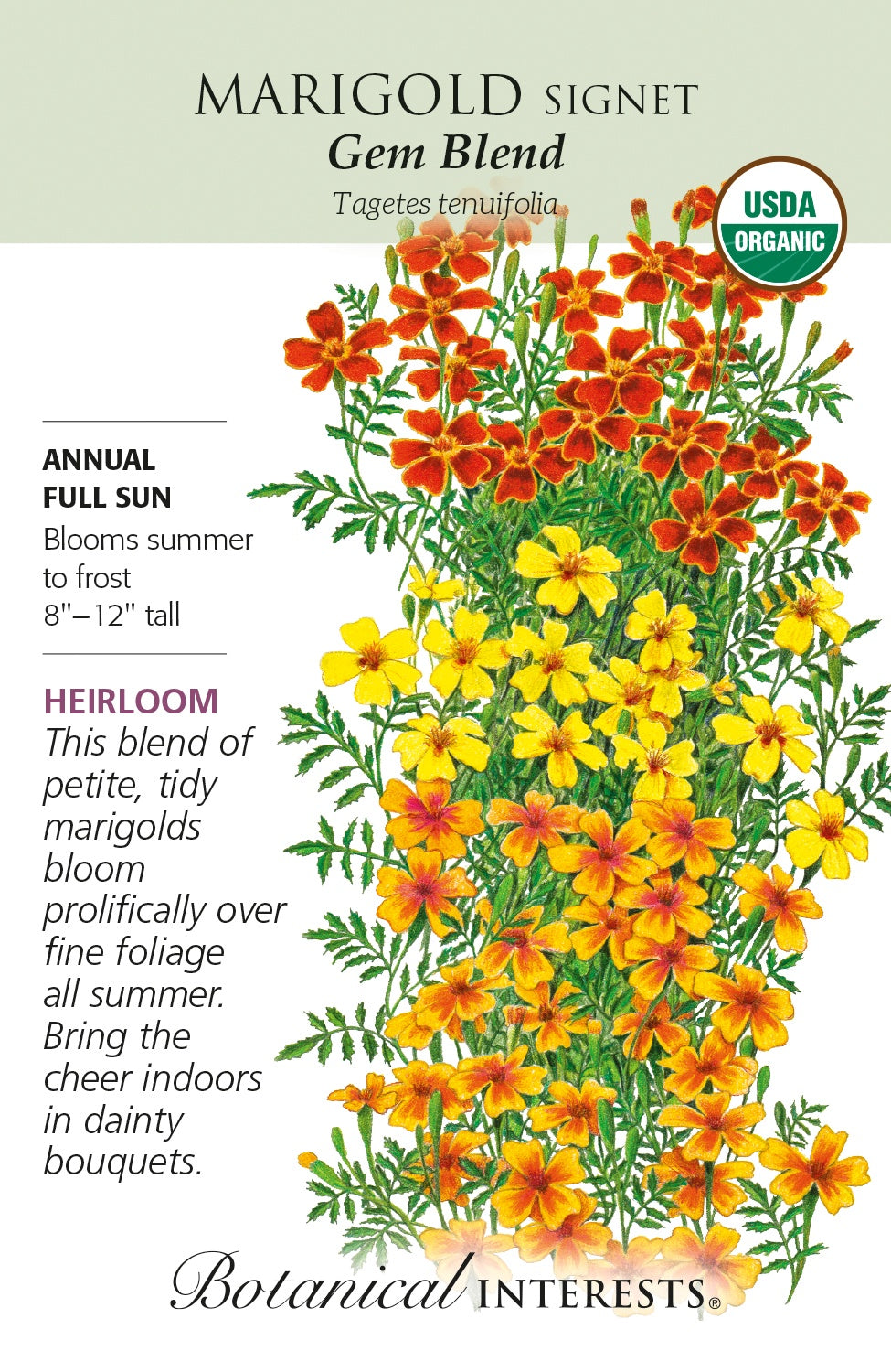 Marigold (Signet) 'Gem Blend' - Botanical Interests® - Organic