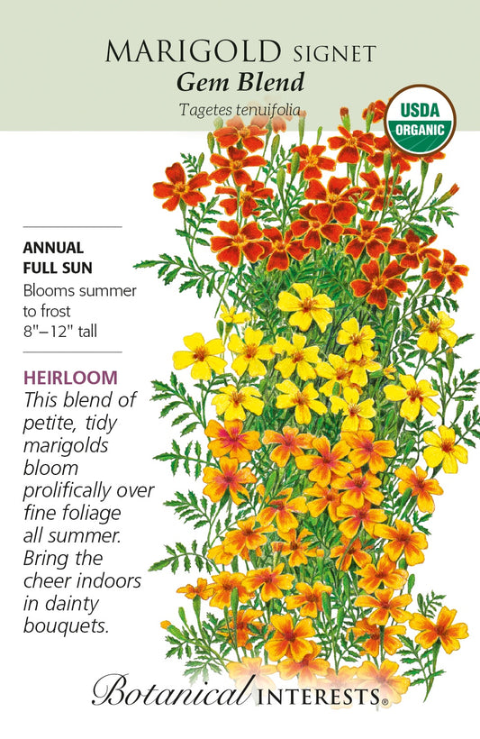 Marigold (Signet) 'Gem Blend' - Botanical Interests® - Organic