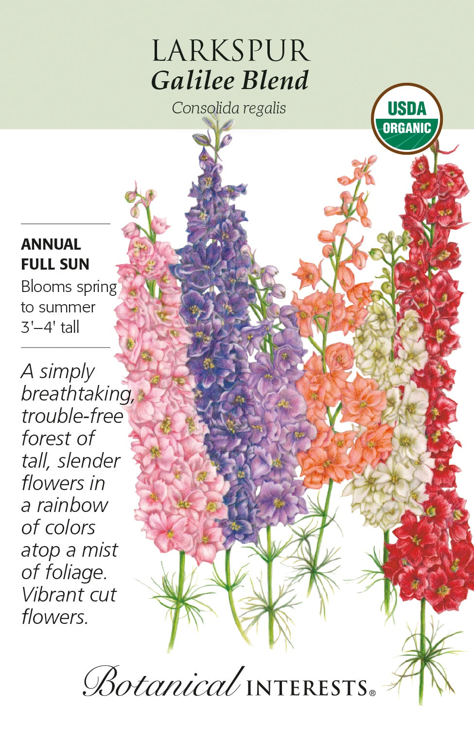 Larkspur 'Galilee Blend' - Botanical Interests® - Organic