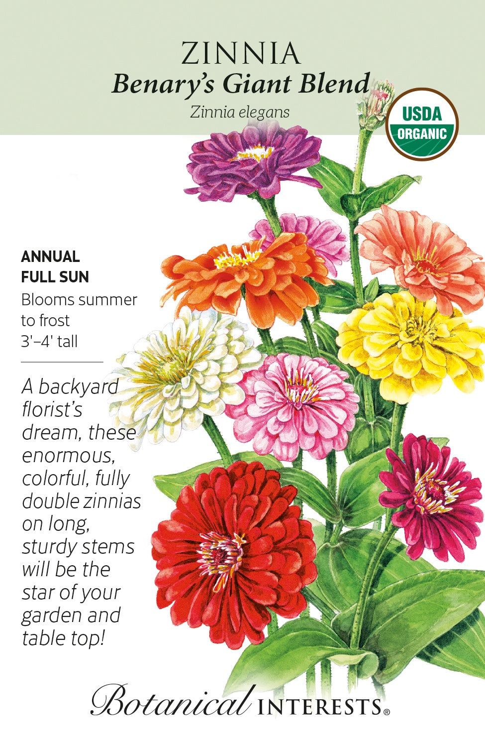 Zinnia 'Benary's Giant Blend' - Botanical Interests® - Organic - Large Packet