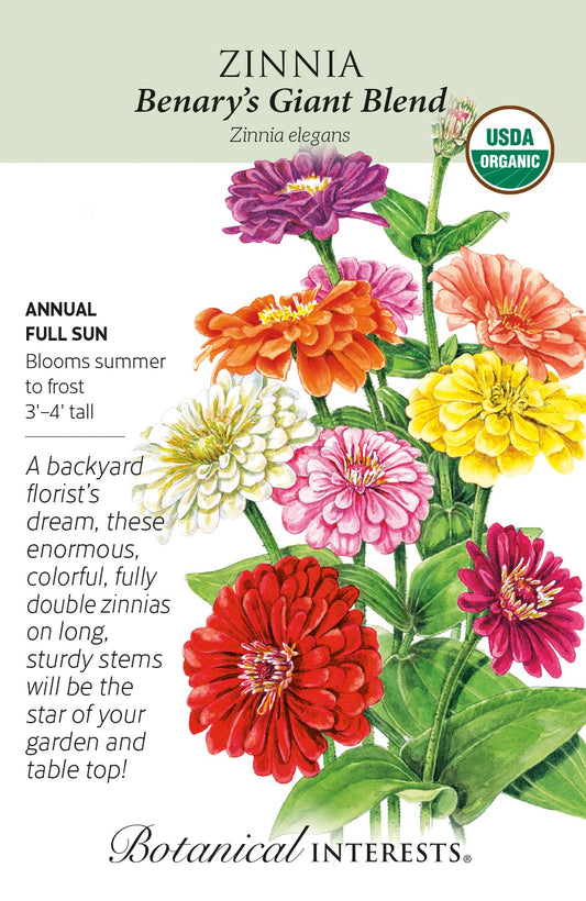 Zinnia 'Benary's Giant Blend' - Botanical Interests® - Organic - Large Packet