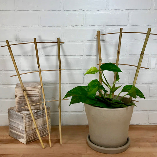 Natural Bamboo Fan Trellis - 18in