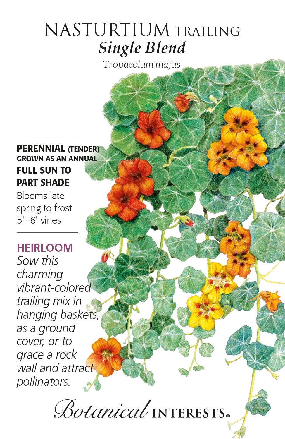 Nasturtium (Trailing) 'Single Blend' - Botanical Interests®