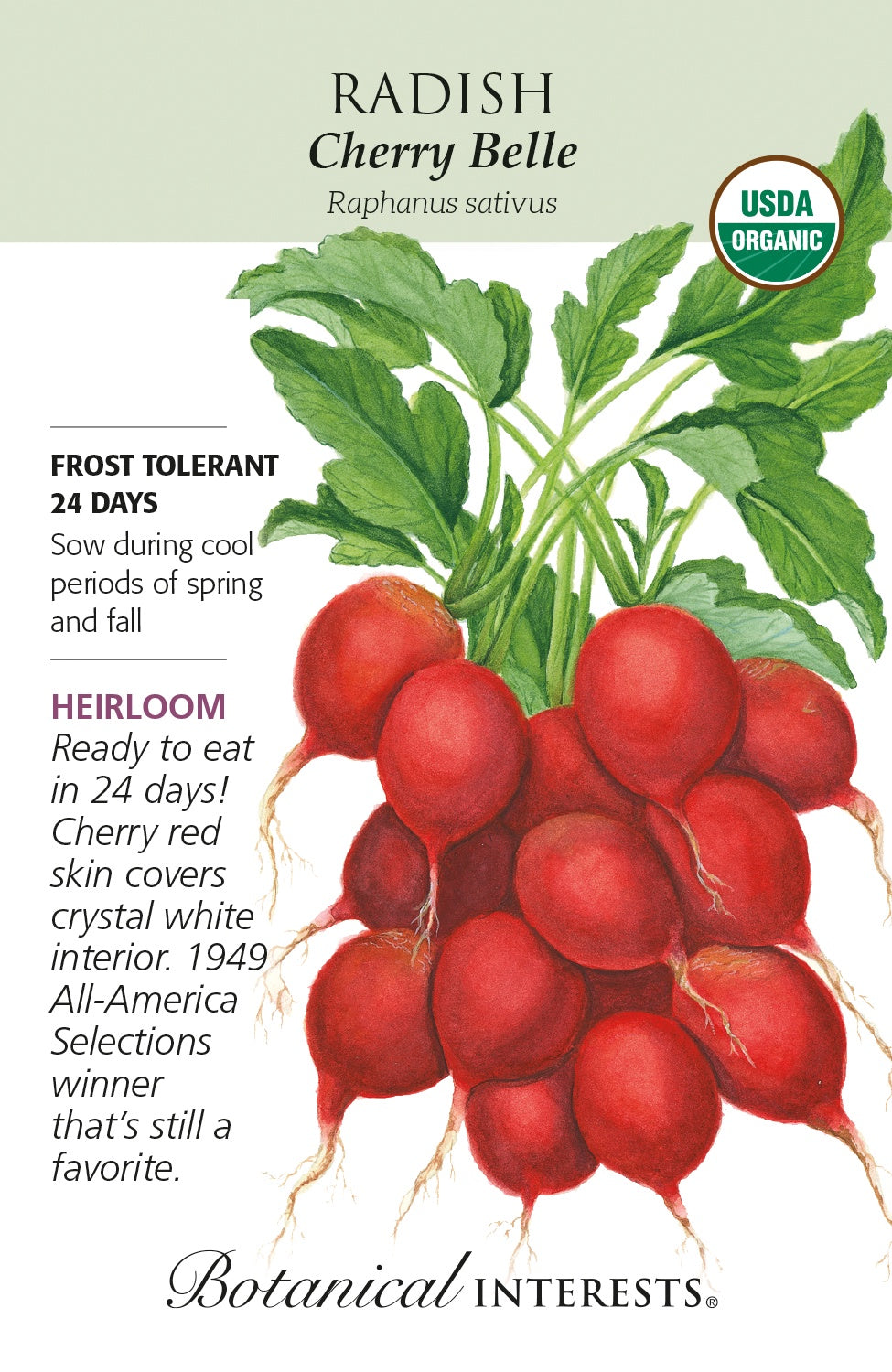 Radish 'Cherry Belle' - Botanical Interests® - Organic