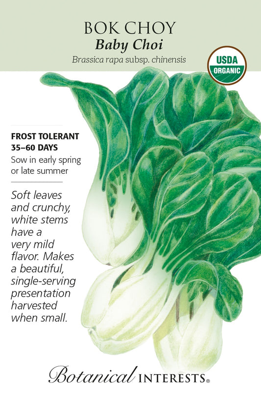 BokChoy 'Baby Choi' - Botanical Interests® - Organic