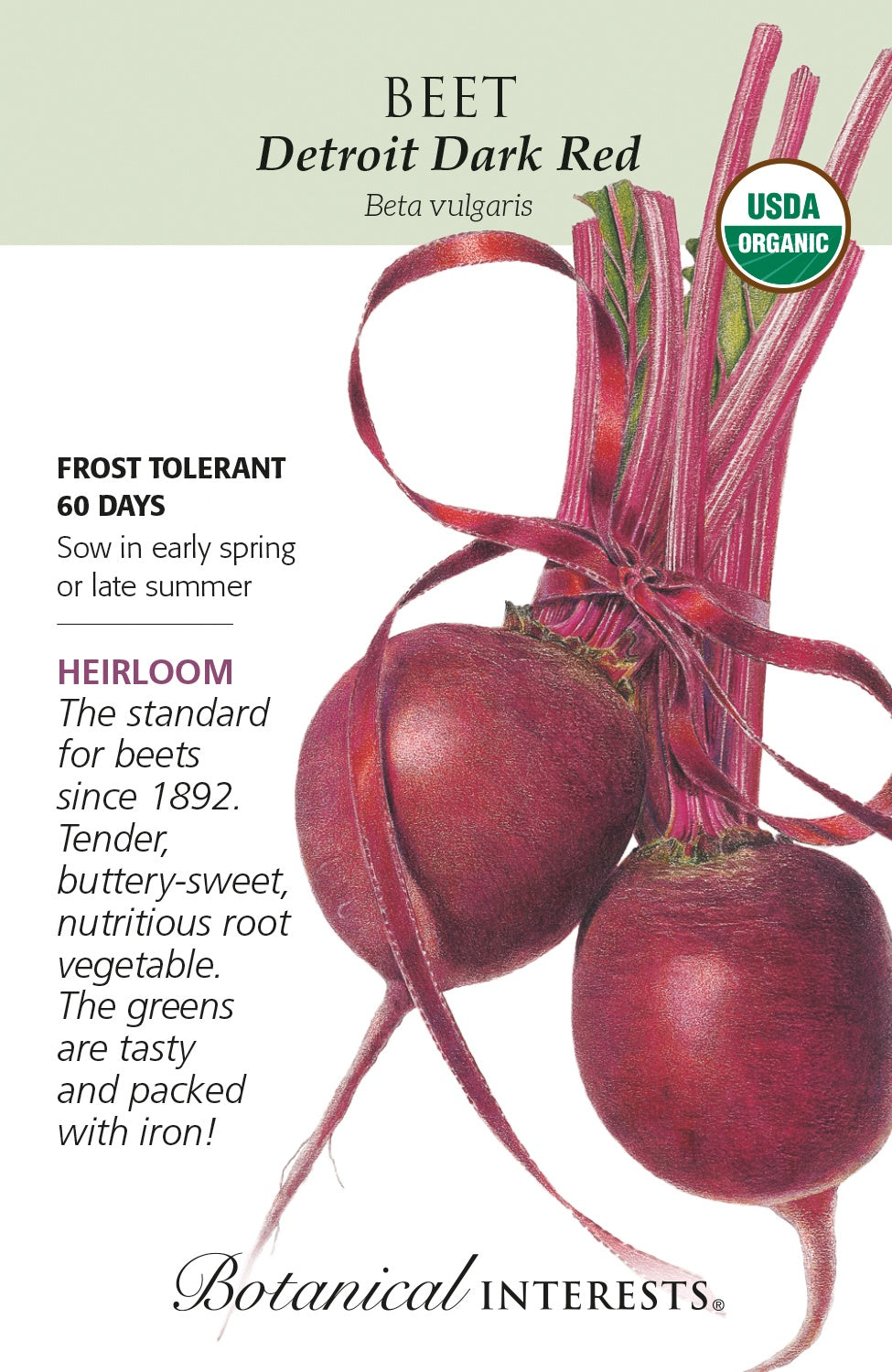 Beet 'Detroit Dark Red' - Botanical Interests® - Organic