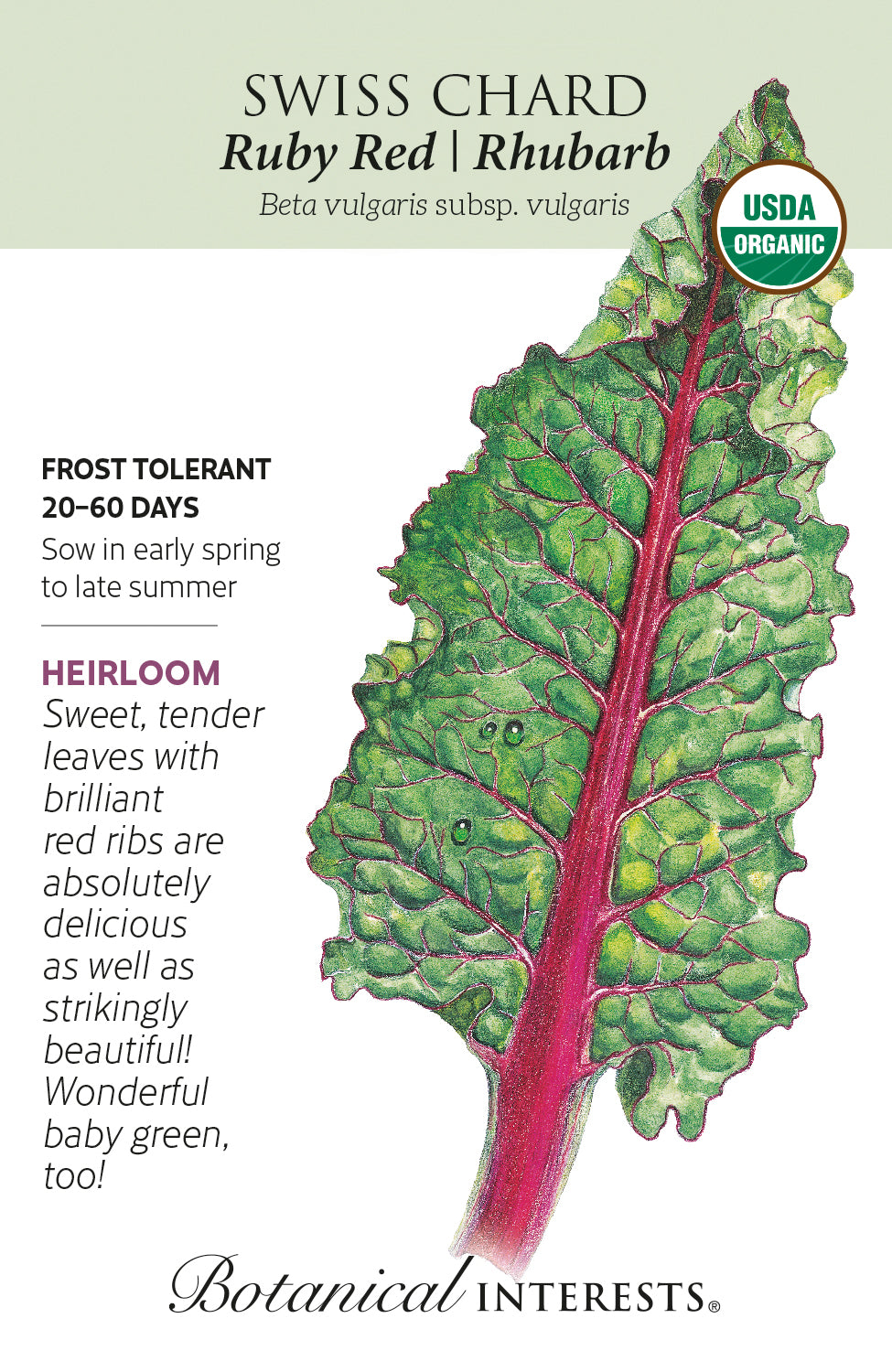 Swiss Chard 'Ruby Red/Rhubarb' - Botanical Interests® - Organic