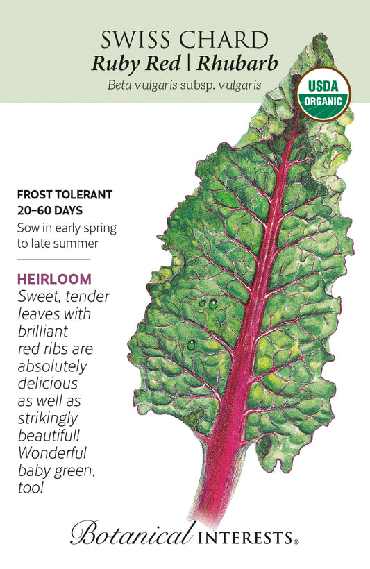 Swiss Chard 'Ruby Red/Rhubarb' - Botanical Interests® - Organic