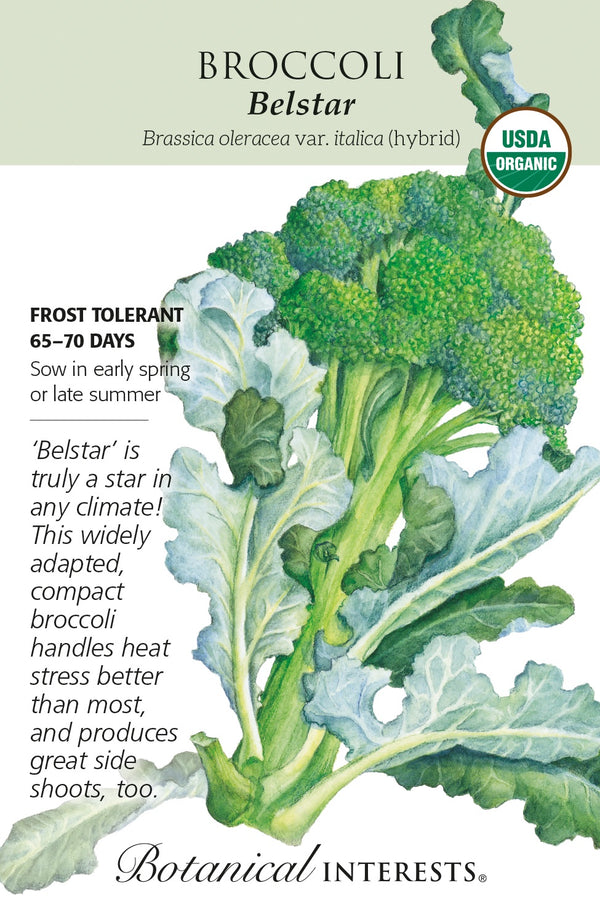 Broccoli 'Belstar' - Botanical Interests® - Hybrid Organic – Mother ...