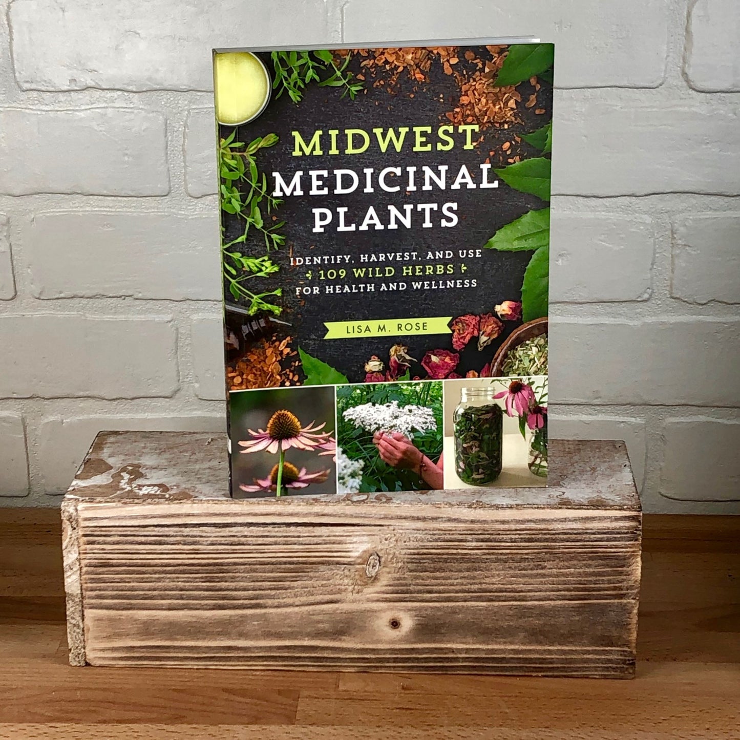 Midwest Medicinal Plants - Lisa M. Rose