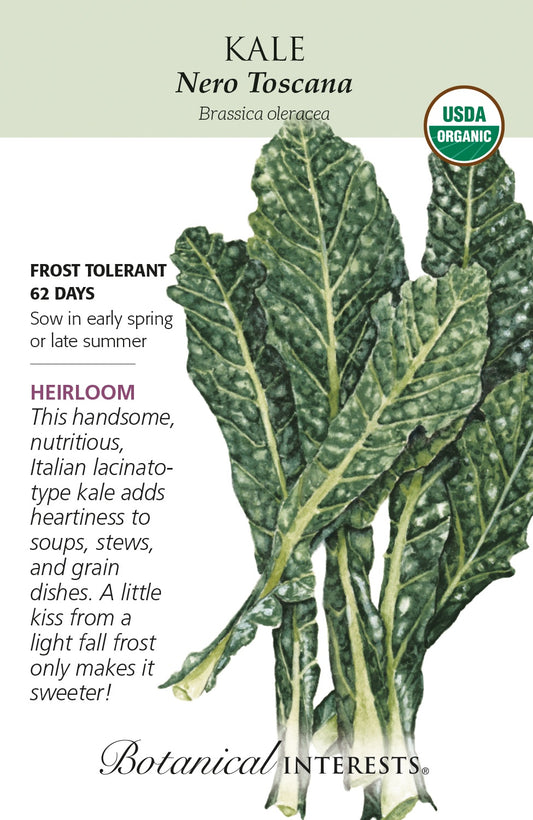 Kale (Italian) 'Nero Toscana/Lacinato' - Botanical Interests® - Organic