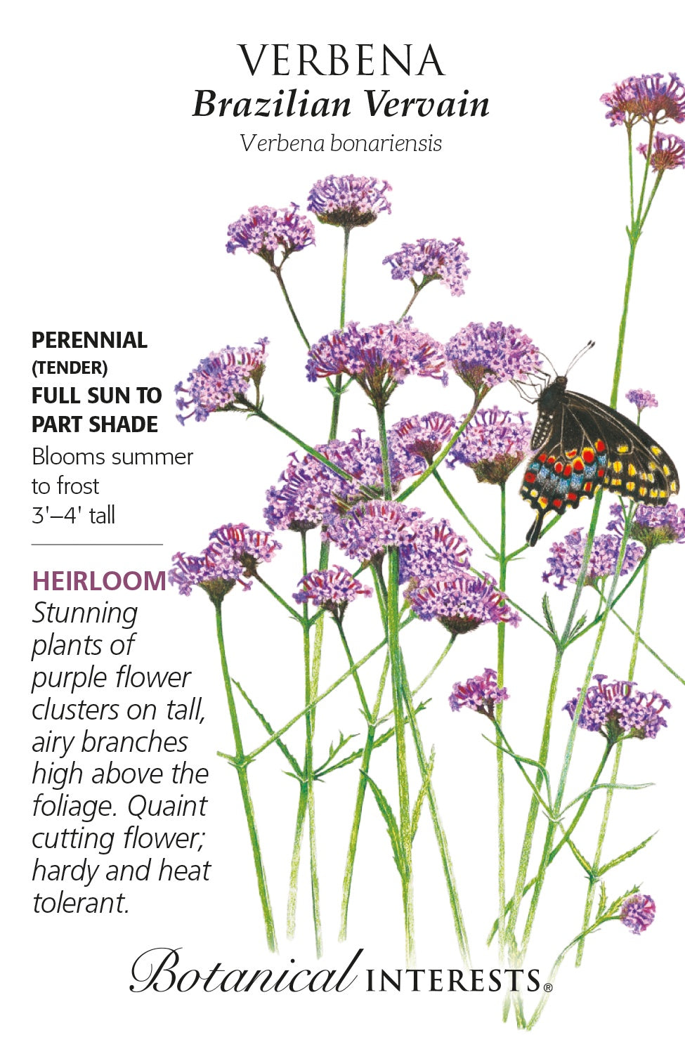 Seeds | Verbena 'Brazilian Vervian' - Botanical Interests®