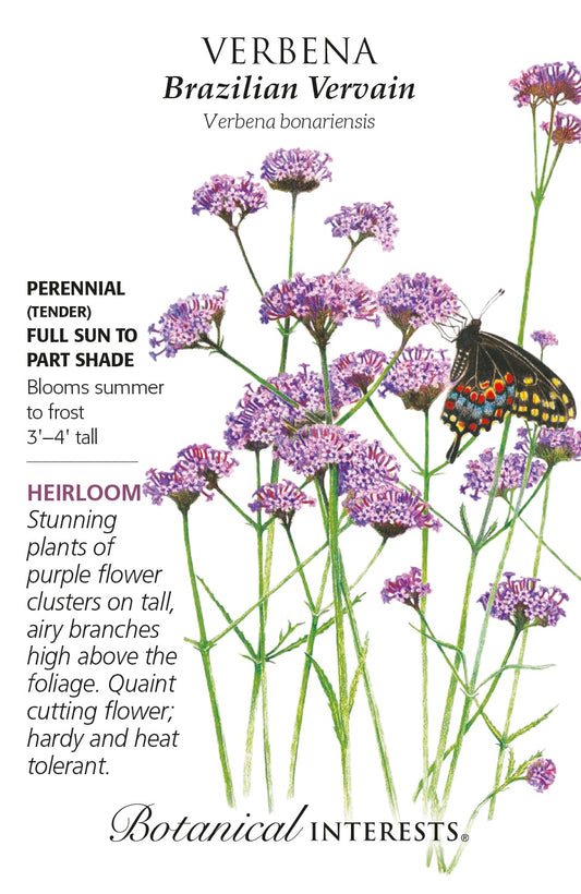 Seeds | Verbena 'Brazilian Vervian' - Botanical Interests®