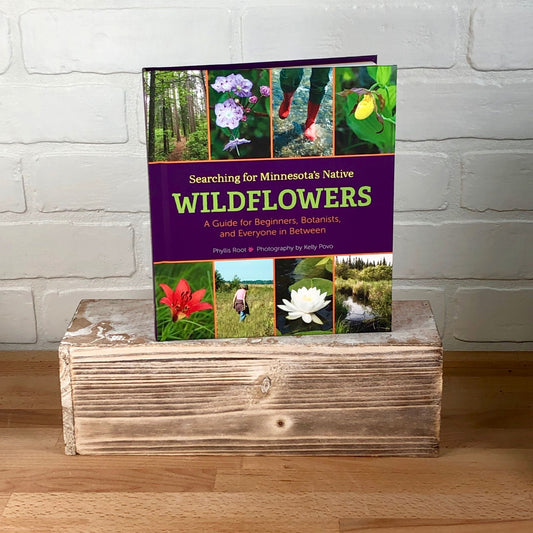 Searching for Minnesota’s Native Wildflowers - Phyllis Root, Kelly Povo