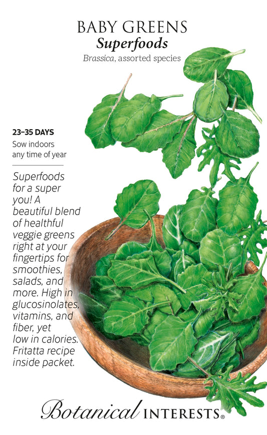Baby Greens 'Superfoods Mix' - Botanical Interests® - Large Packet