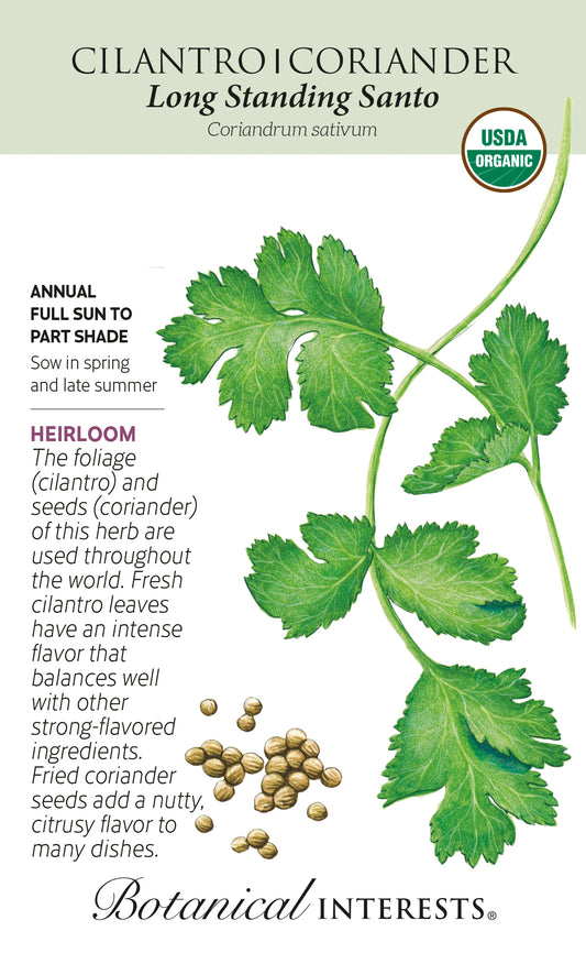 Cilantro/Coriander 'Long Standing Santo' - Botanical Interests® - Organic