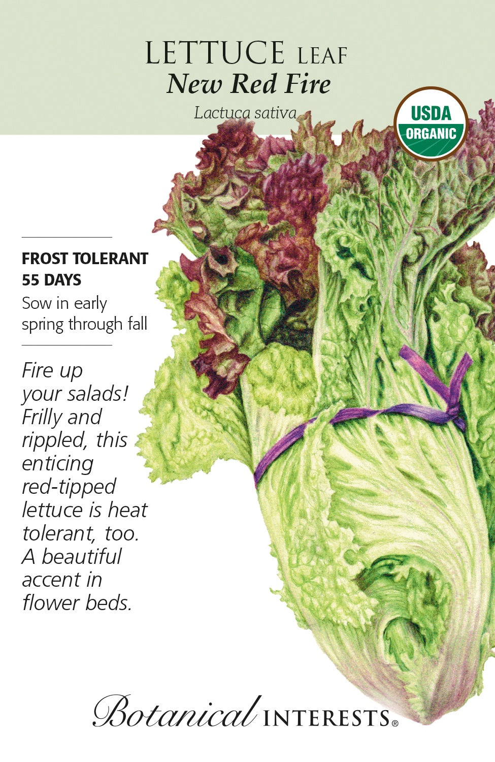 Lettuce (Leaf) 'New Red Fire' - Botanical Interests® - Organic