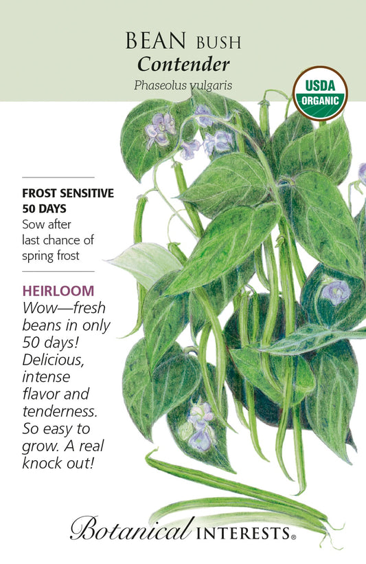 Bean (Bush) 'Contender' - Botanical Interests® - Organic