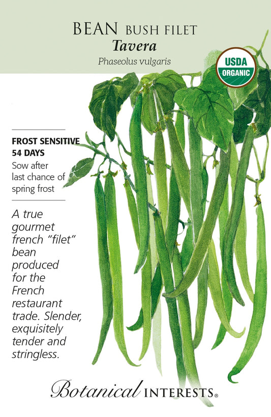 Bean (Bush) 'Tavera' - Botanical Interests® - Organic