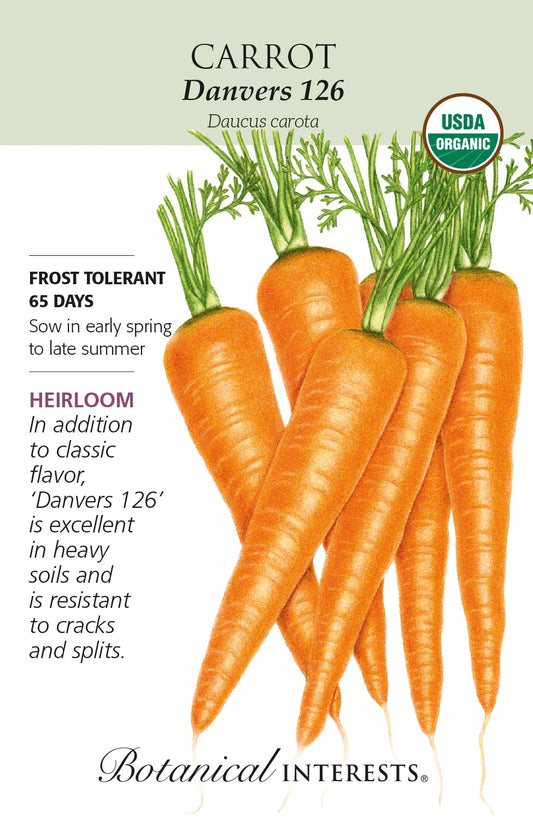 Carrot 'Danvers 126' - Botanical Interests® - Organic