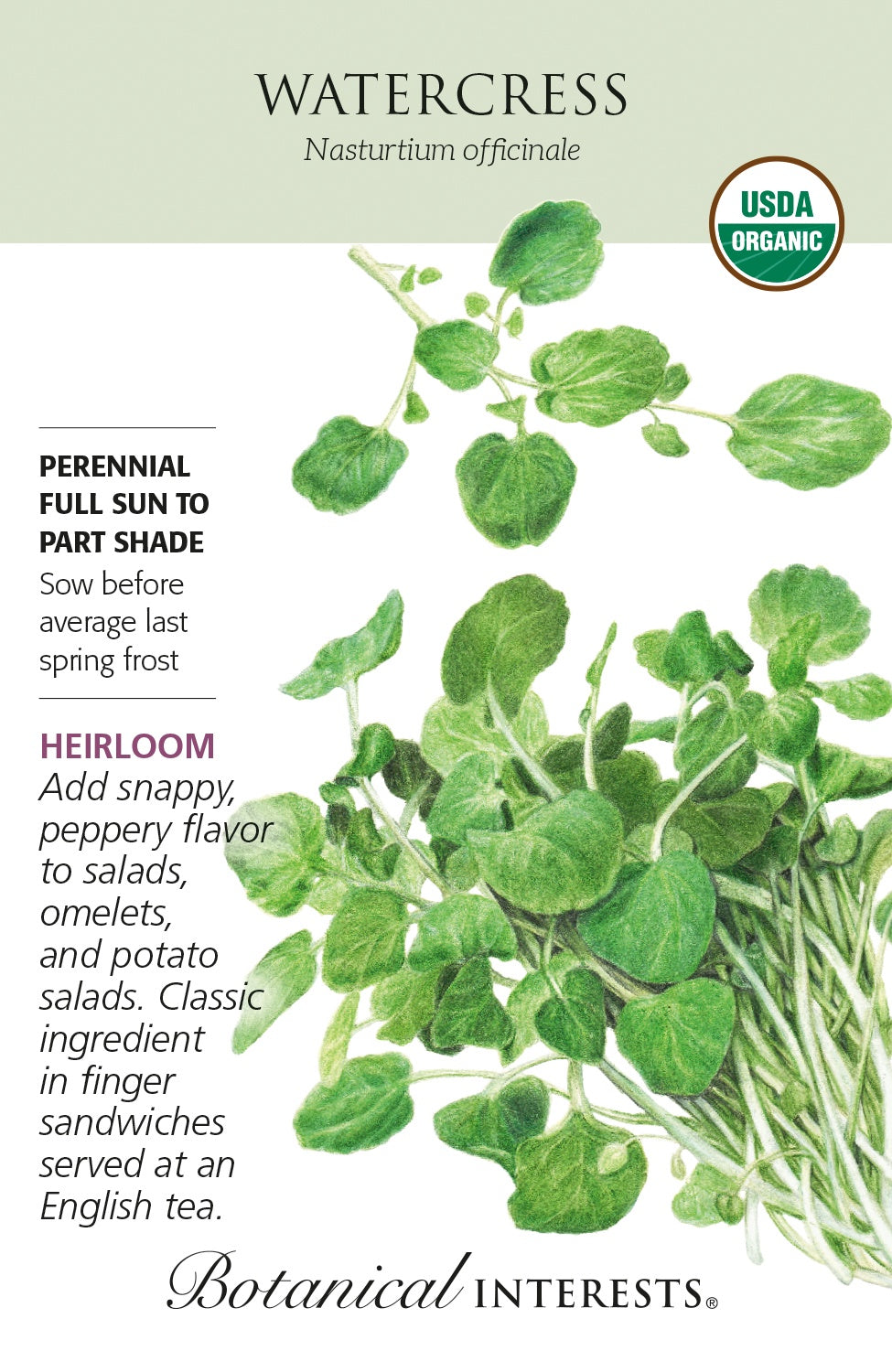 Watercress - Botanical Interests® - Organic