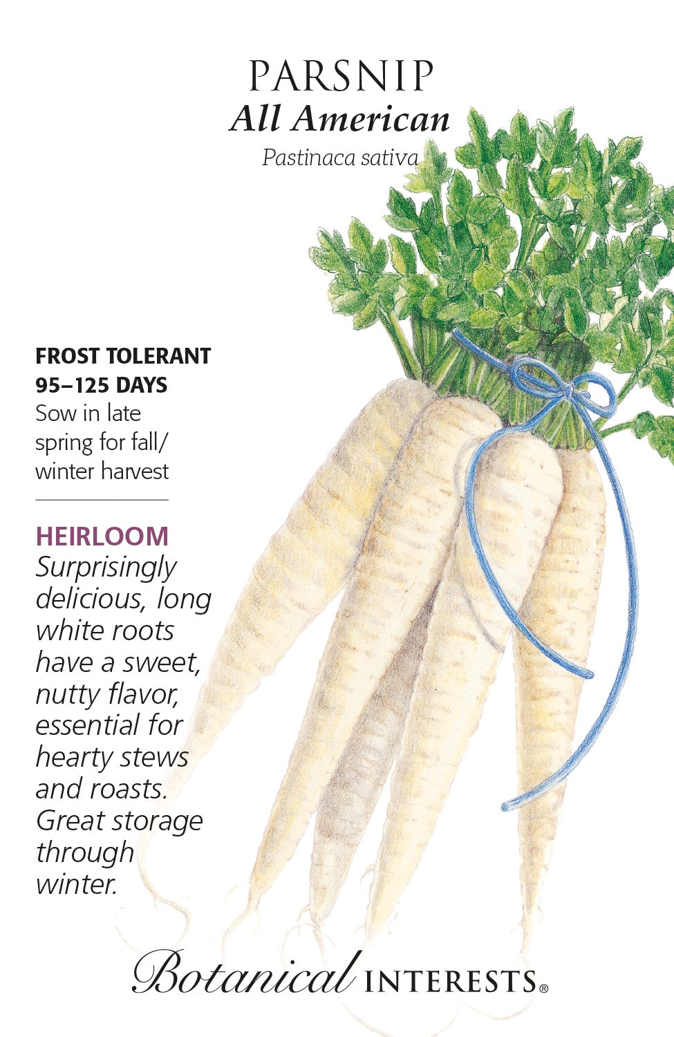 Parsnip 'All American' - Botanical Interests®