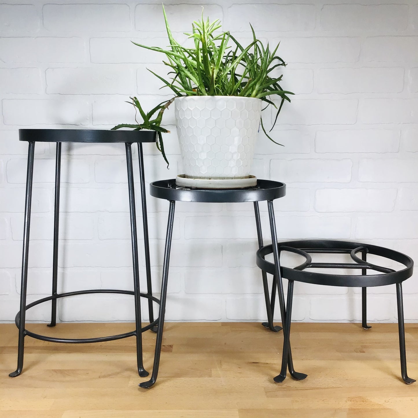 Plant Stand - Argyle 4-Leg