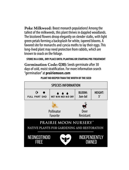 Poke Milkweed (Asclepias exaltata) Seeds - Prairie Moon Nursery (L2L)