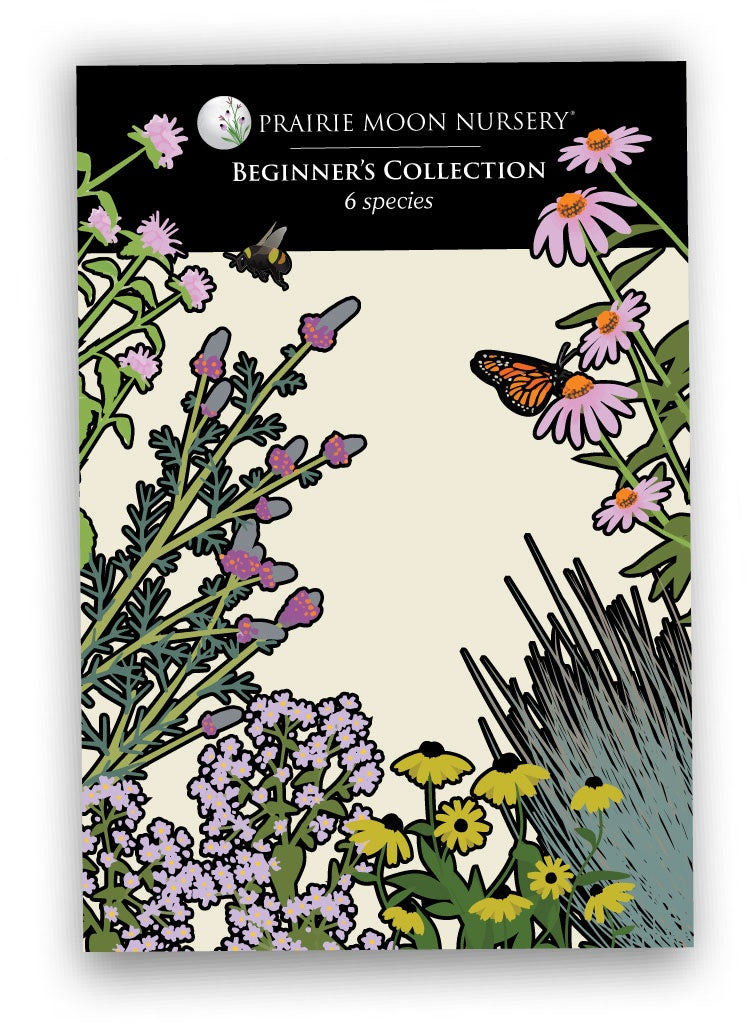 Native Seed Collection - Beginner's Packet - Prairie Moon Nursery (L2L)