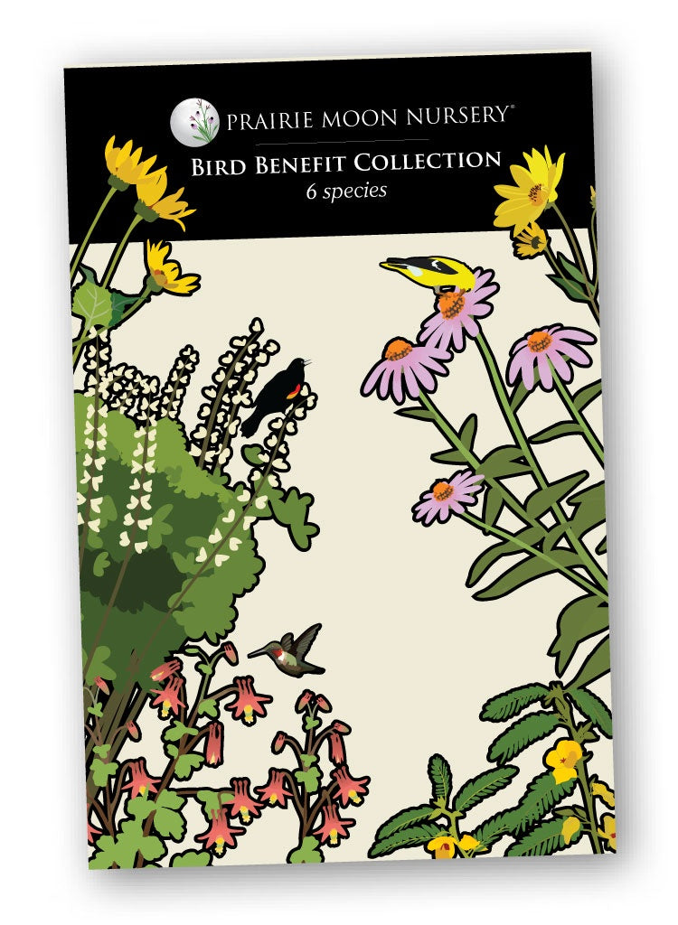 Native Seed Collection - Bird Benefit Packet - Prairie Moon Nursery (L2L)