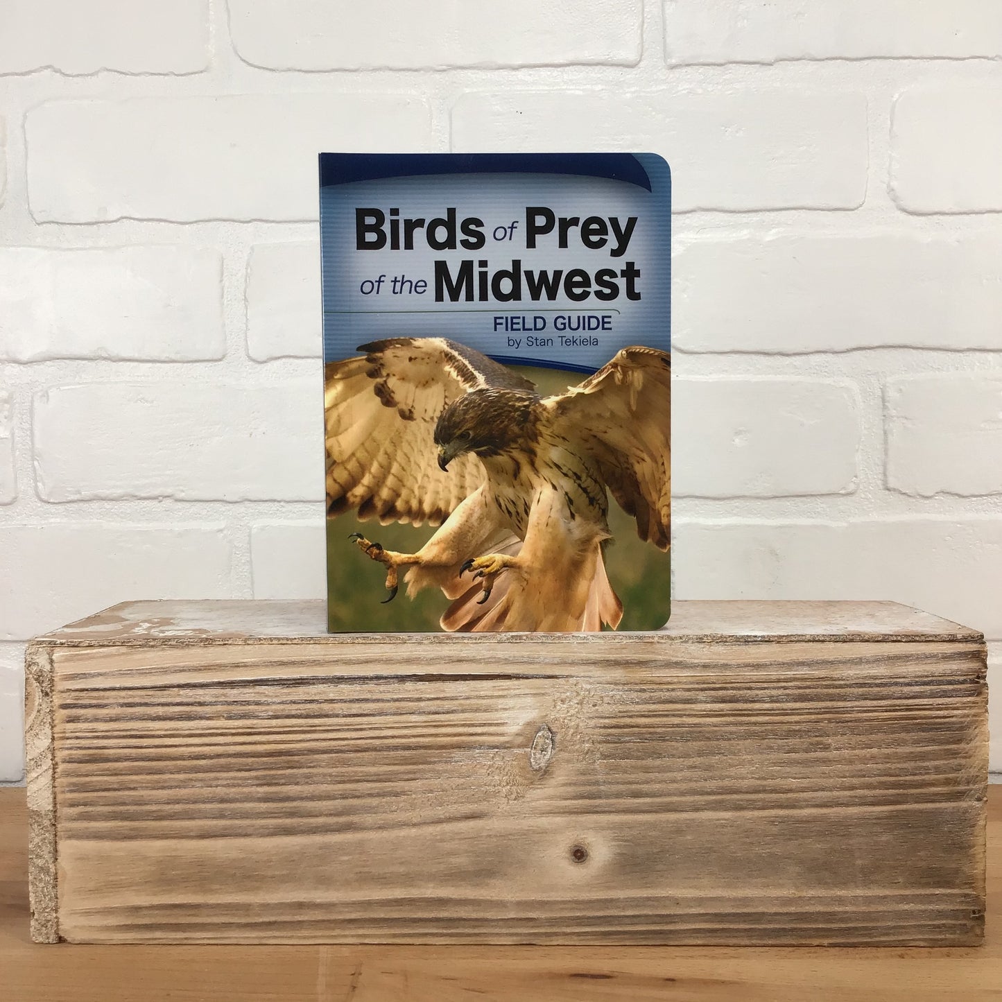 Birds of Prey of the Midwest Field Guide