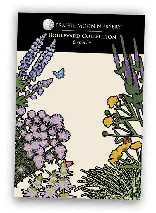 Native Seed Collection - Boulevard Packet - Prairie Moon Nursery (L2L)