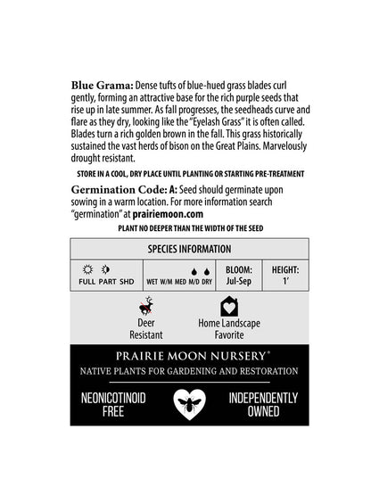 Blue Grama (Bouteloua gracilis) Seeds - Prairie Moon Nursery