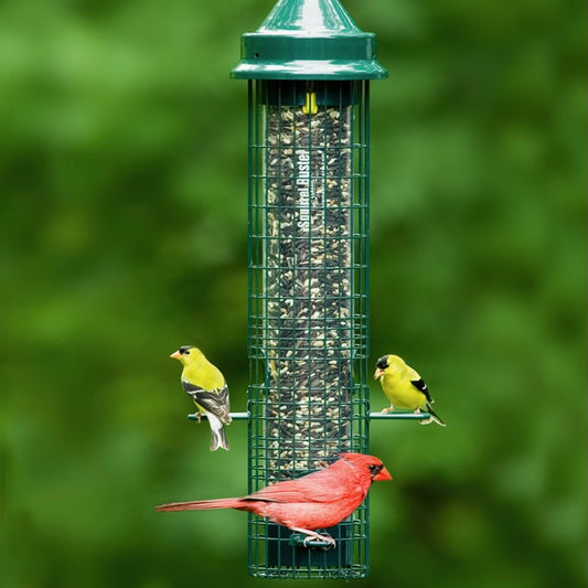 Bird Feeder - Squirrel Buster - Classic