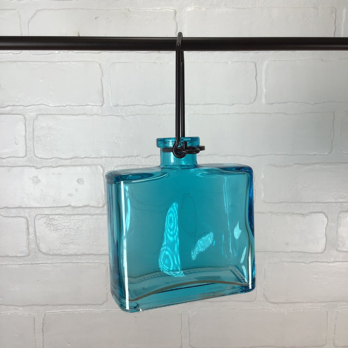 Hanging Glass Rooting Vases