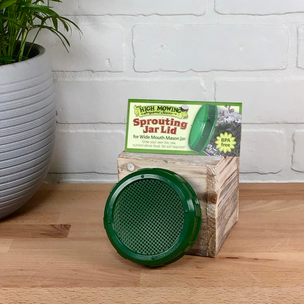 Sprouting Jar Lid